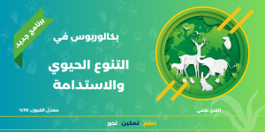 درجة البكالوريوس في التنوع الحيوي والاستدامة