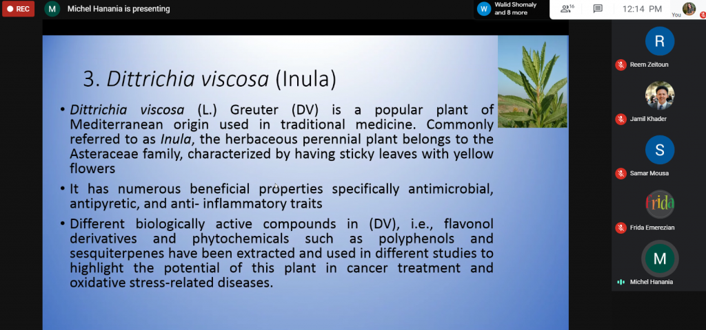 Webinar on Medical Plants in Palestine