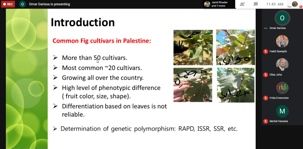 Webinar: Genetic Diversity of Figs