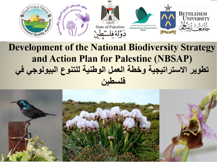 National Biodiversity Strategy and Action Plan Workshops