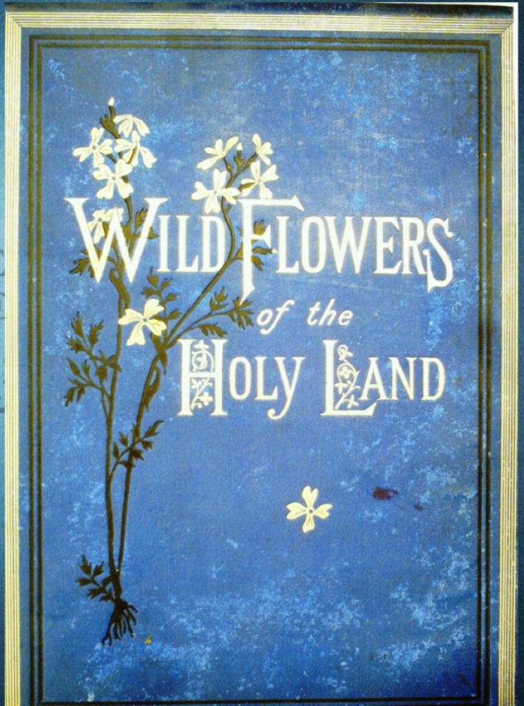 Rare Book 