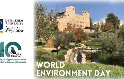 world environement day