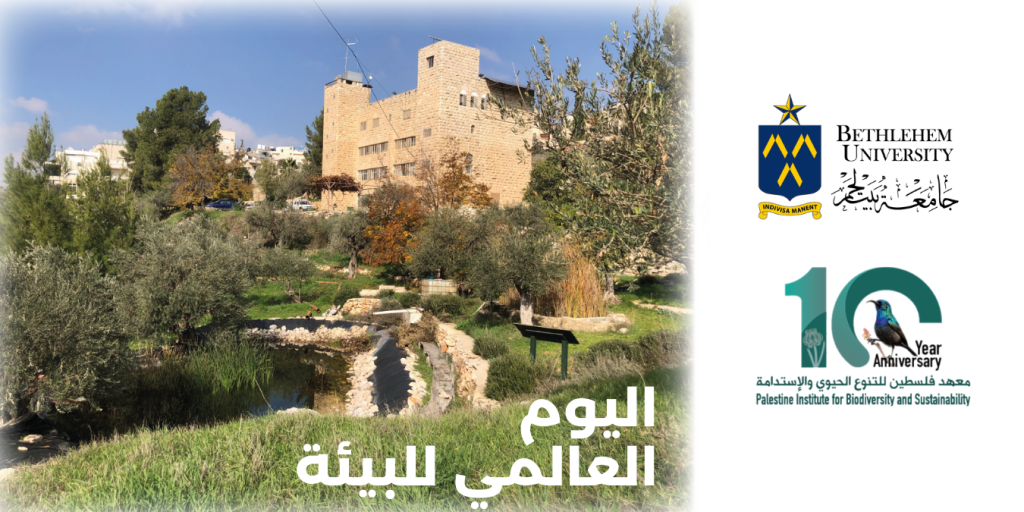 اليوم العالمي للبيئة