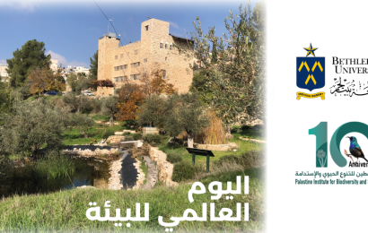 اليوم العالمي للبيئة
