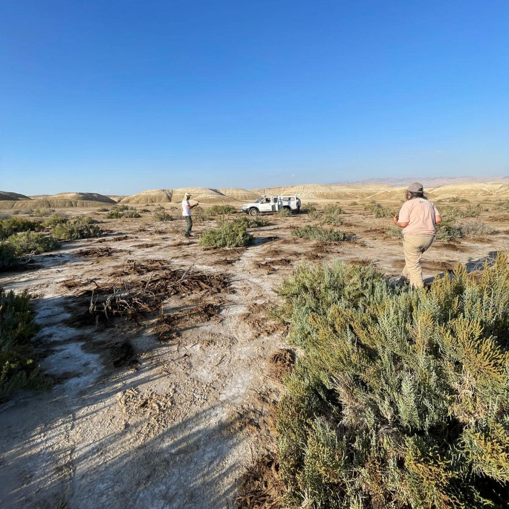 Field Work at Palestine Institute for Biodiversity and Sustainability