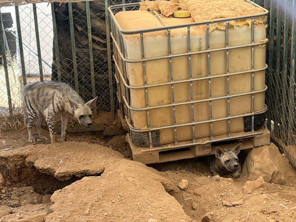 PIBS's Animal Rehabilitation Unit